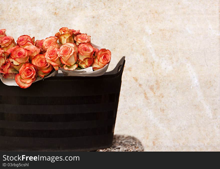 Roses Bouquets in Basket and Polished Marble Wall Background.