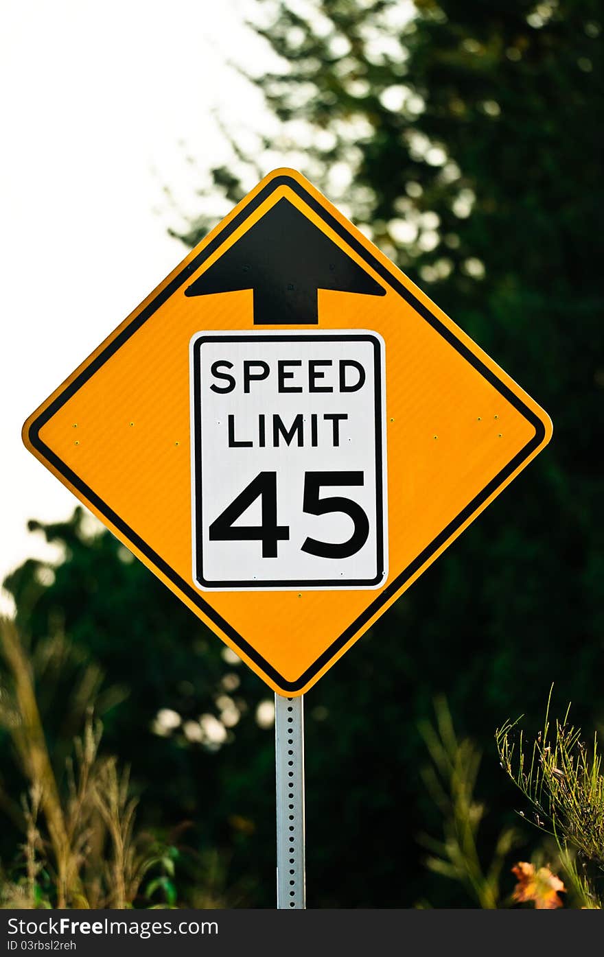 Road sign used in the US, 45 MPH speed limit.