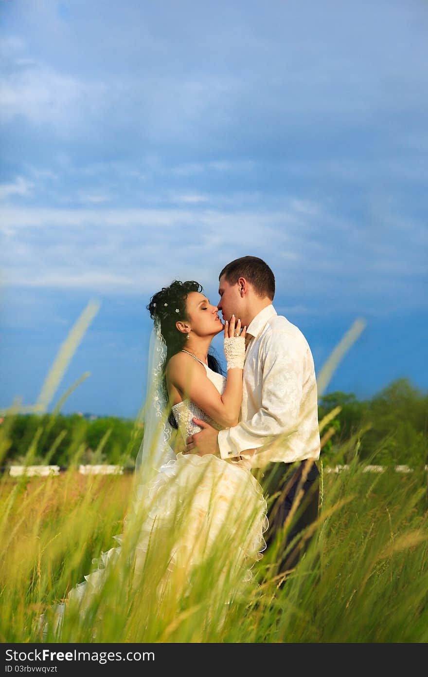 Wedding shot of newly-married couple standing in field. Wedding shot of newly-married couple standing in field