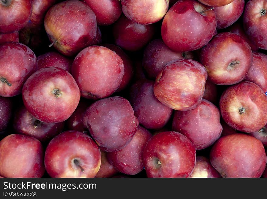 Freshly grown apples at a local farmers market