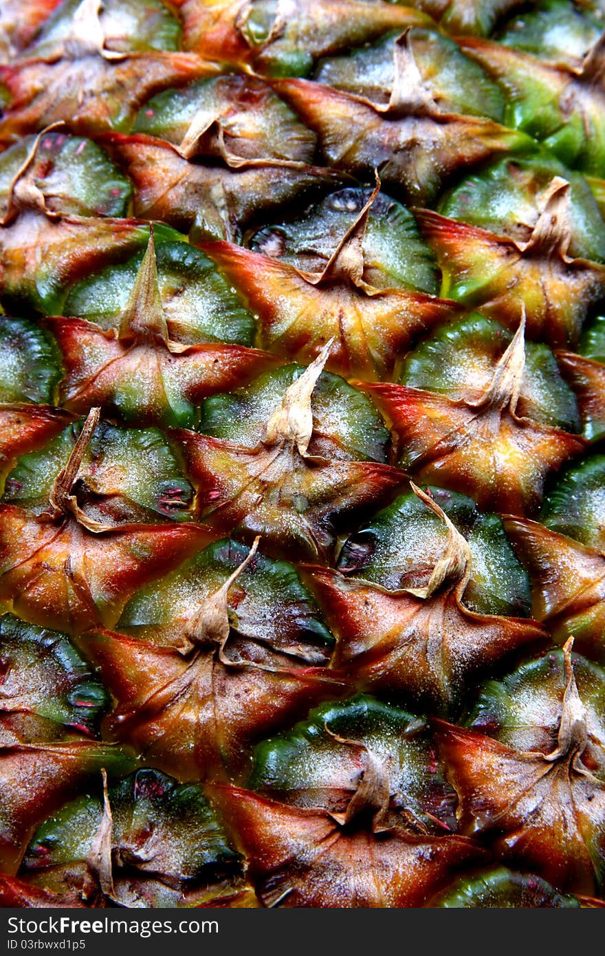 Close-up view of whole pineapple. Green and gold colors. Close-up view of whole pineapple. Green and gold colors.