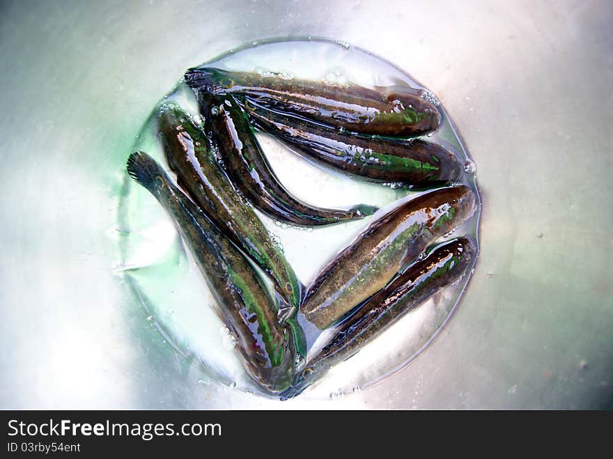 Marine fish, marine fish from the sea salvage back, very fresh; now lying in the market, waiting for people to purchase. Fish, is that people particularly like to eat marine life.