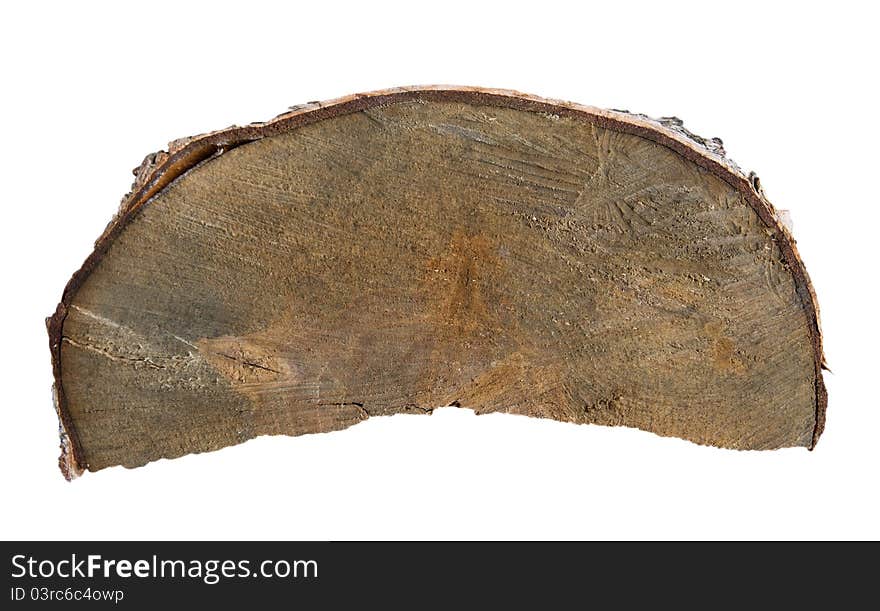 Tree trunk cross section