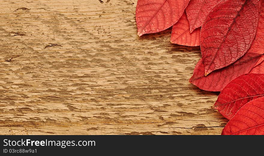 Autumn leaves over wooden background.