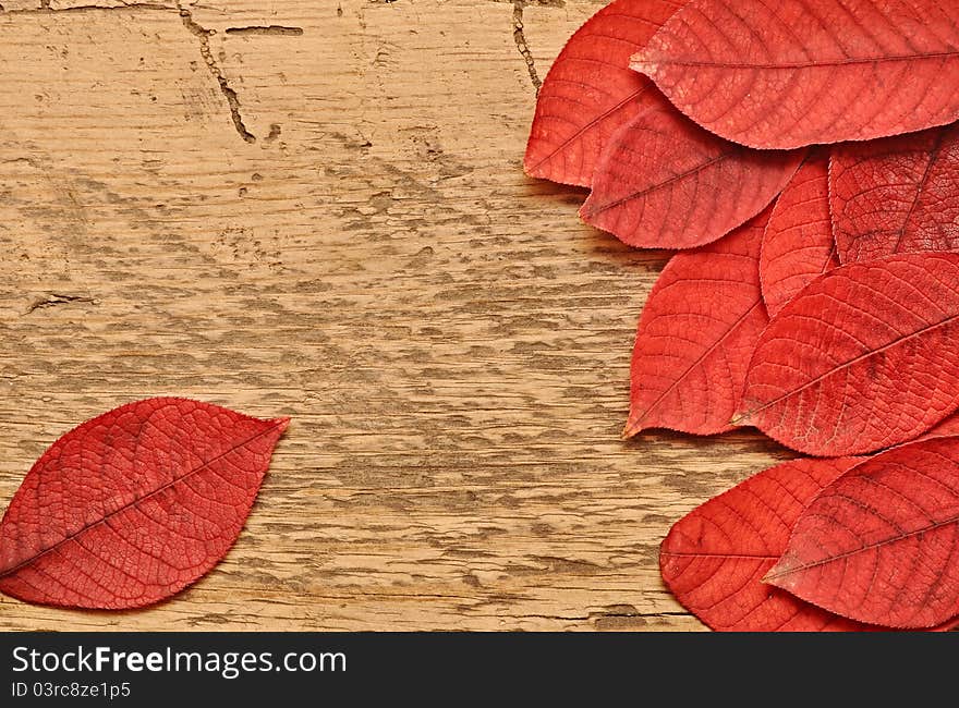 Autumn leaves over wooden background.