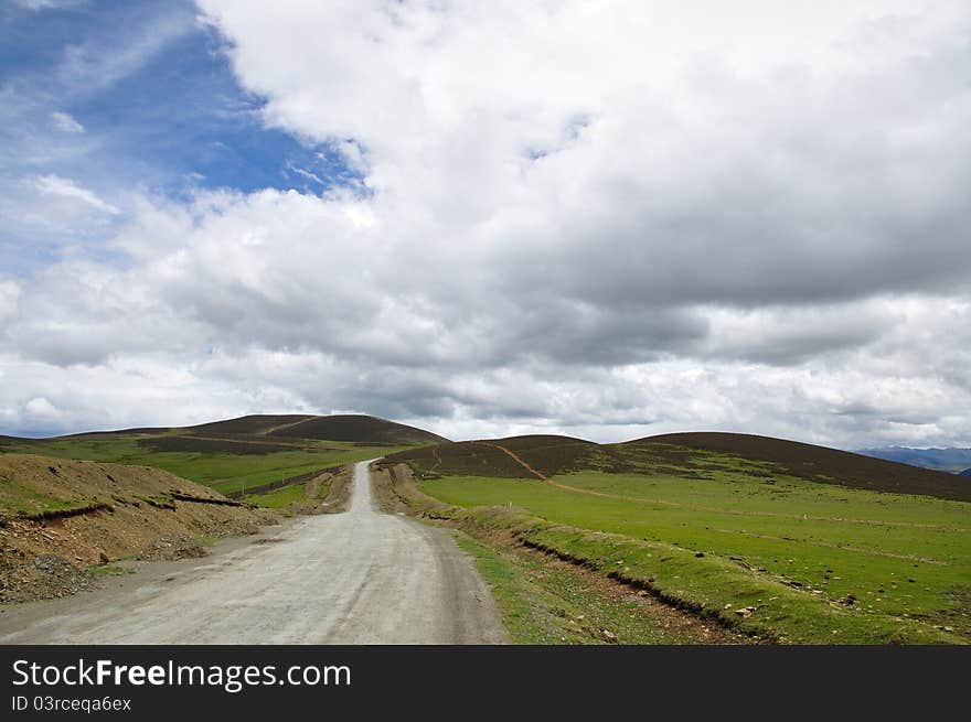 Grassland and road