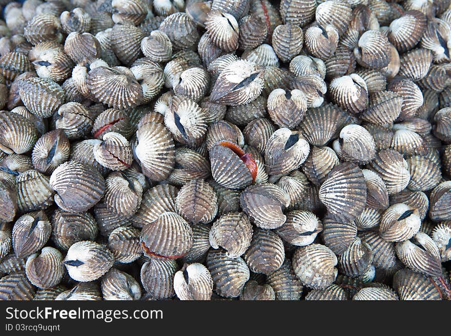 Cockles at the market