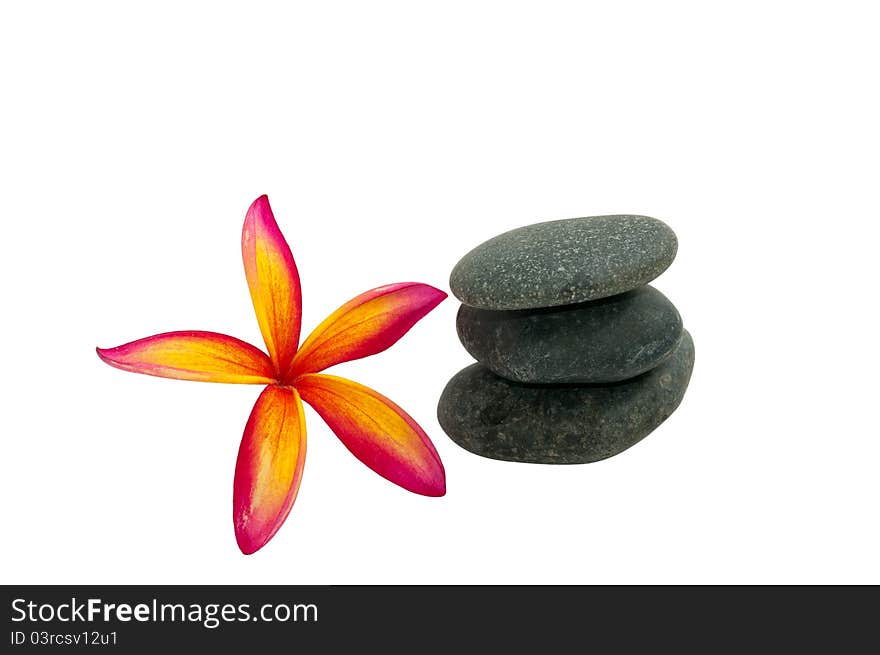 Frangipani and the stone in white background. Frangipani and the stone in white background