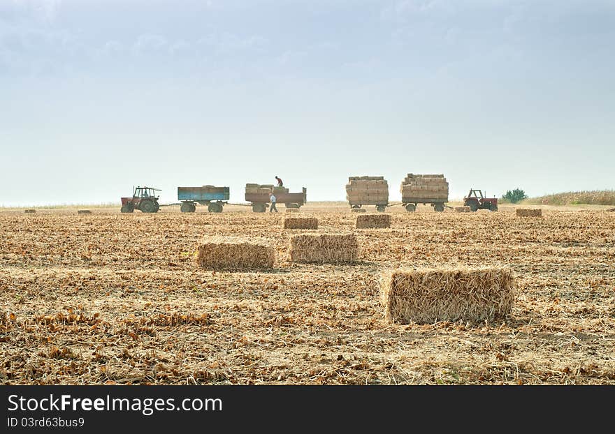 Straw bales in autumn