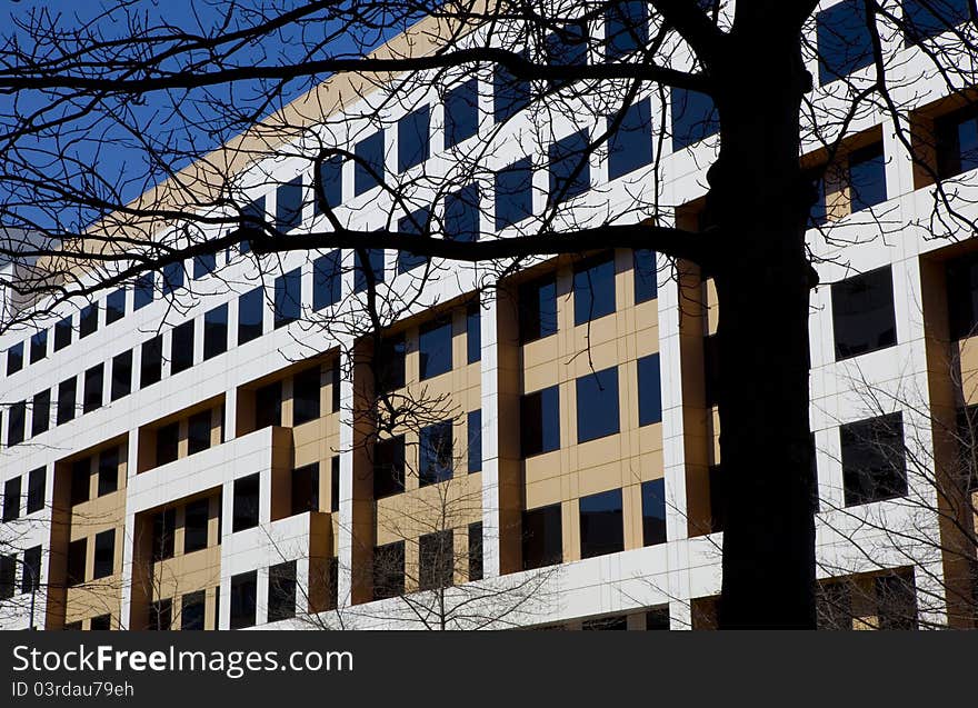 Bare tree silhouetted against a modern building. Bare tree silhouetted against a modern building