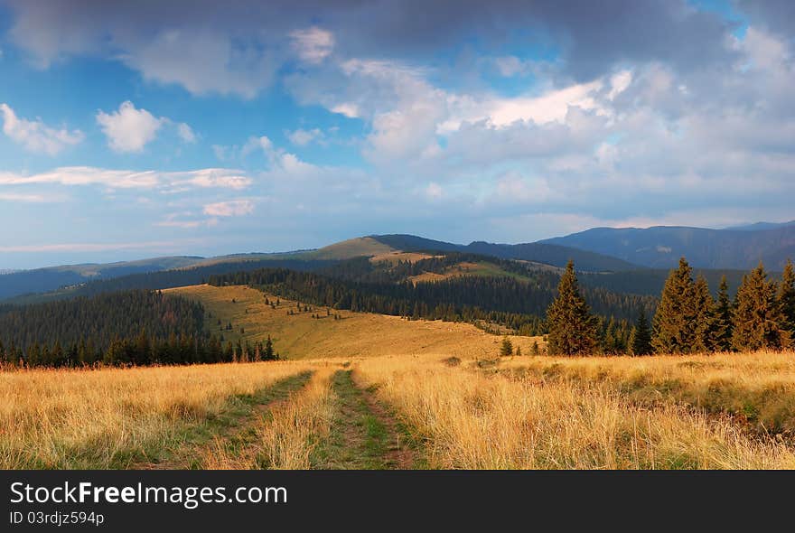 Summer Landscape