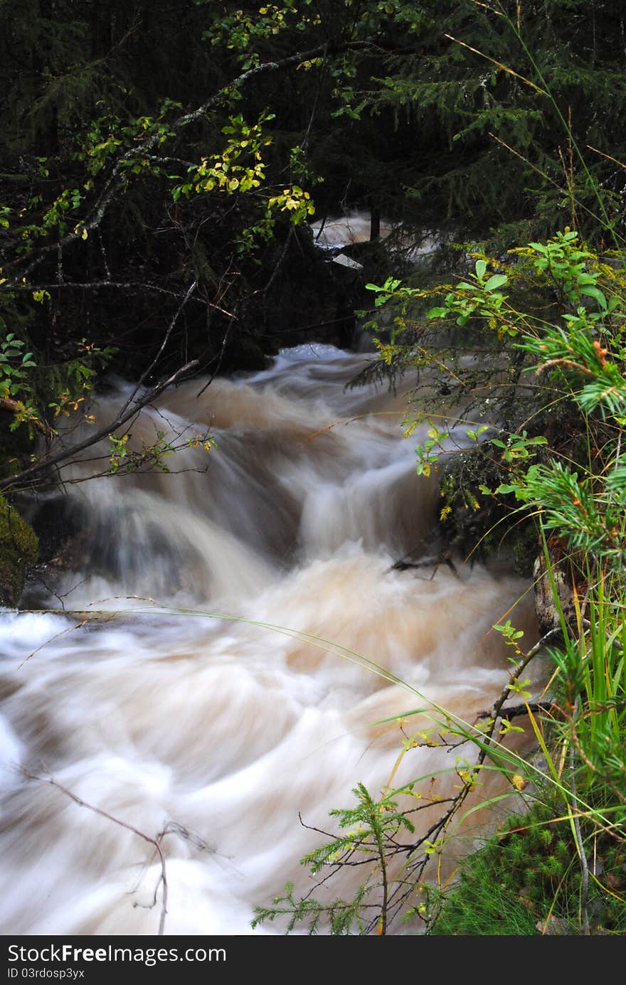 Flooded stream in the autumn