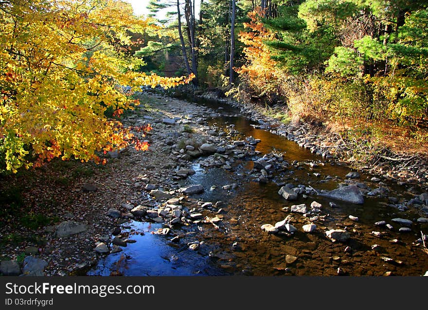 Running mountain stream through colorful autumn trees. Running mountain stream through colorful autumn trees