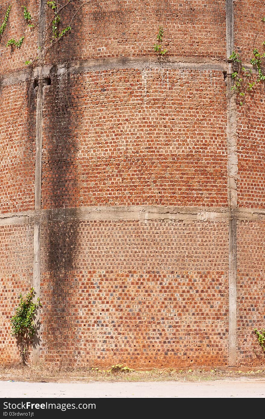 Heart shape vine on old brick wall