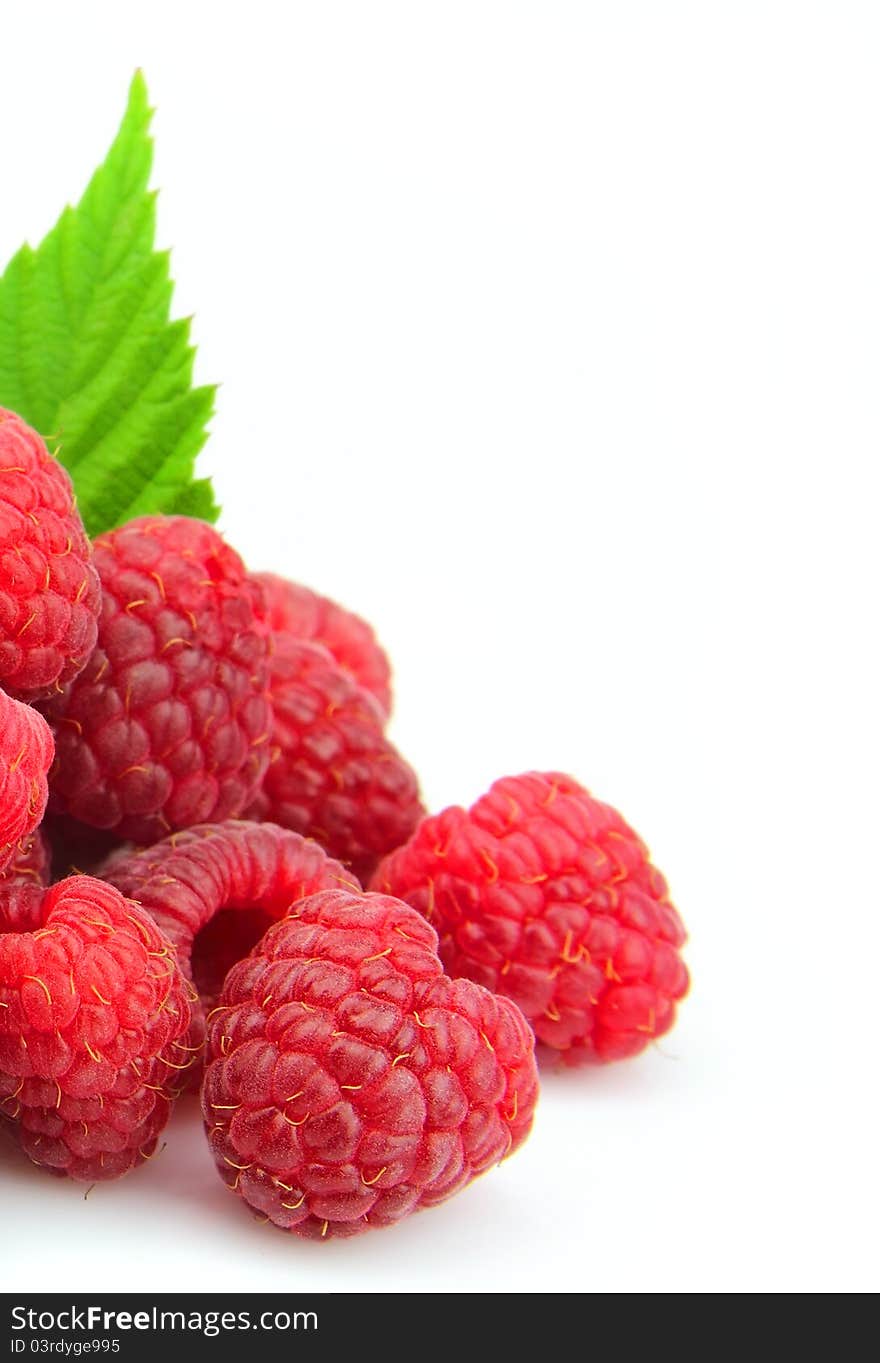 Sweet raspberry close up