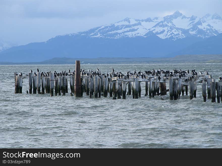 Puerto Natales am Esperanza Sound. Puerto Natales am Esperanza Sound