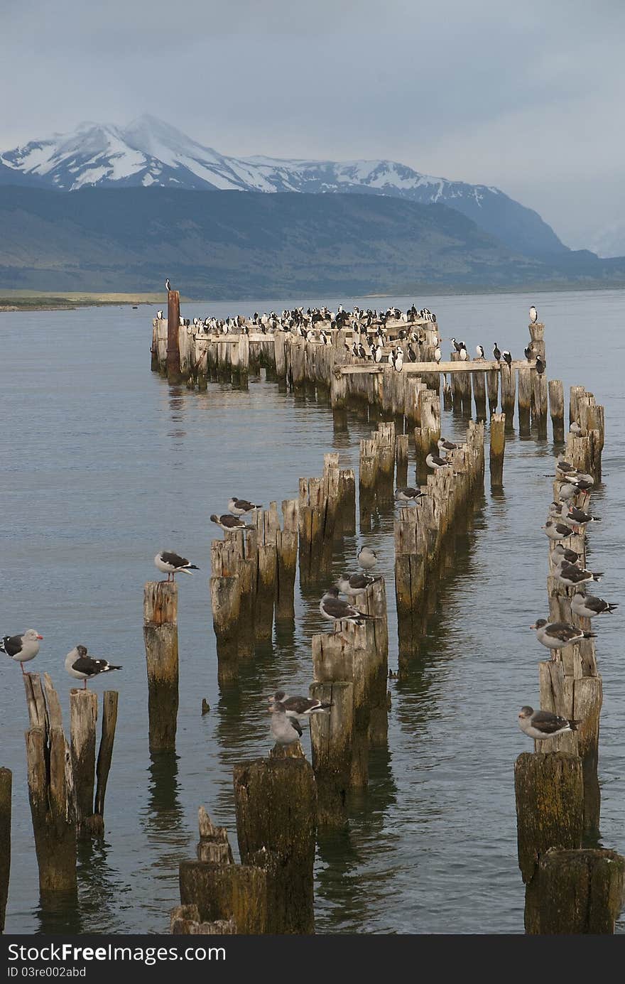 Puerto Natales am Esperanza Sound. Puerto Natales am Esperanza Sound