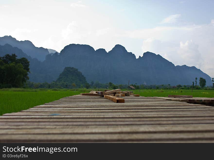 Rice field with Mountains background. Rice field with Mountains background