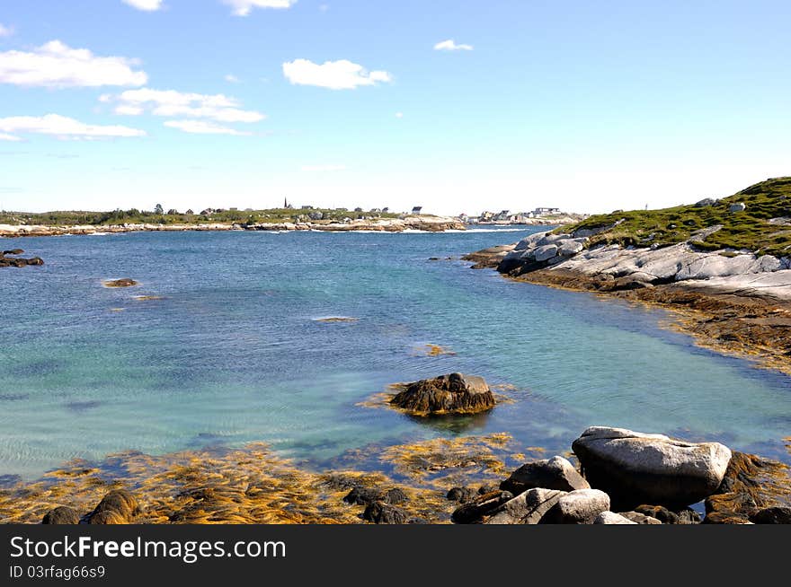 Floating Weeds at Peggy's Cove, Nova Scotia, Canada.