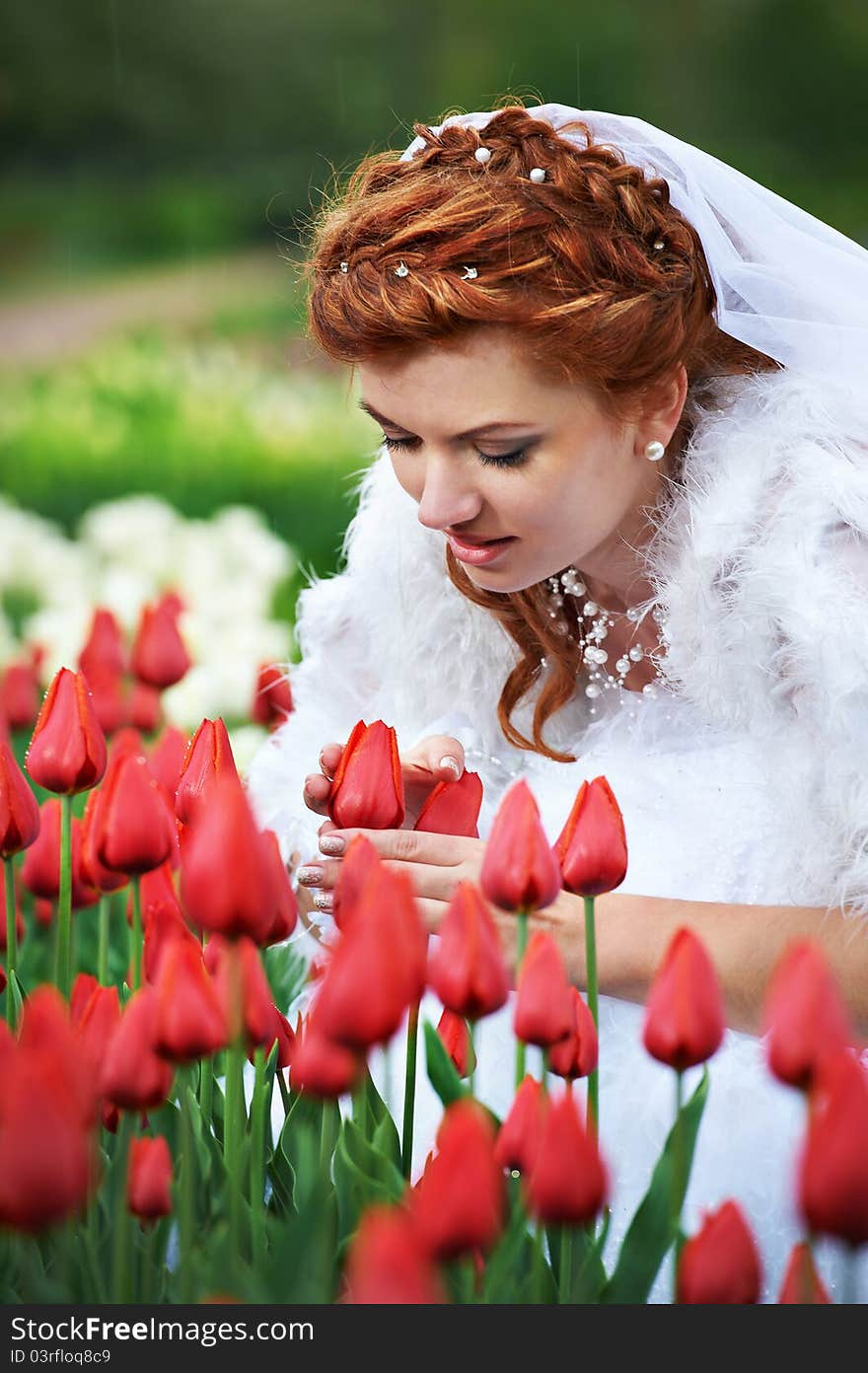 Beautiful bride and red tulips