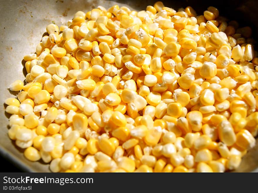 Corn Grains