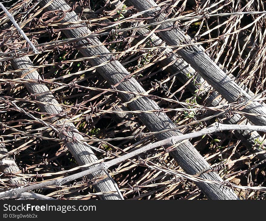 A texture type picture of a loosely rolled up bale of barbed wire fencing