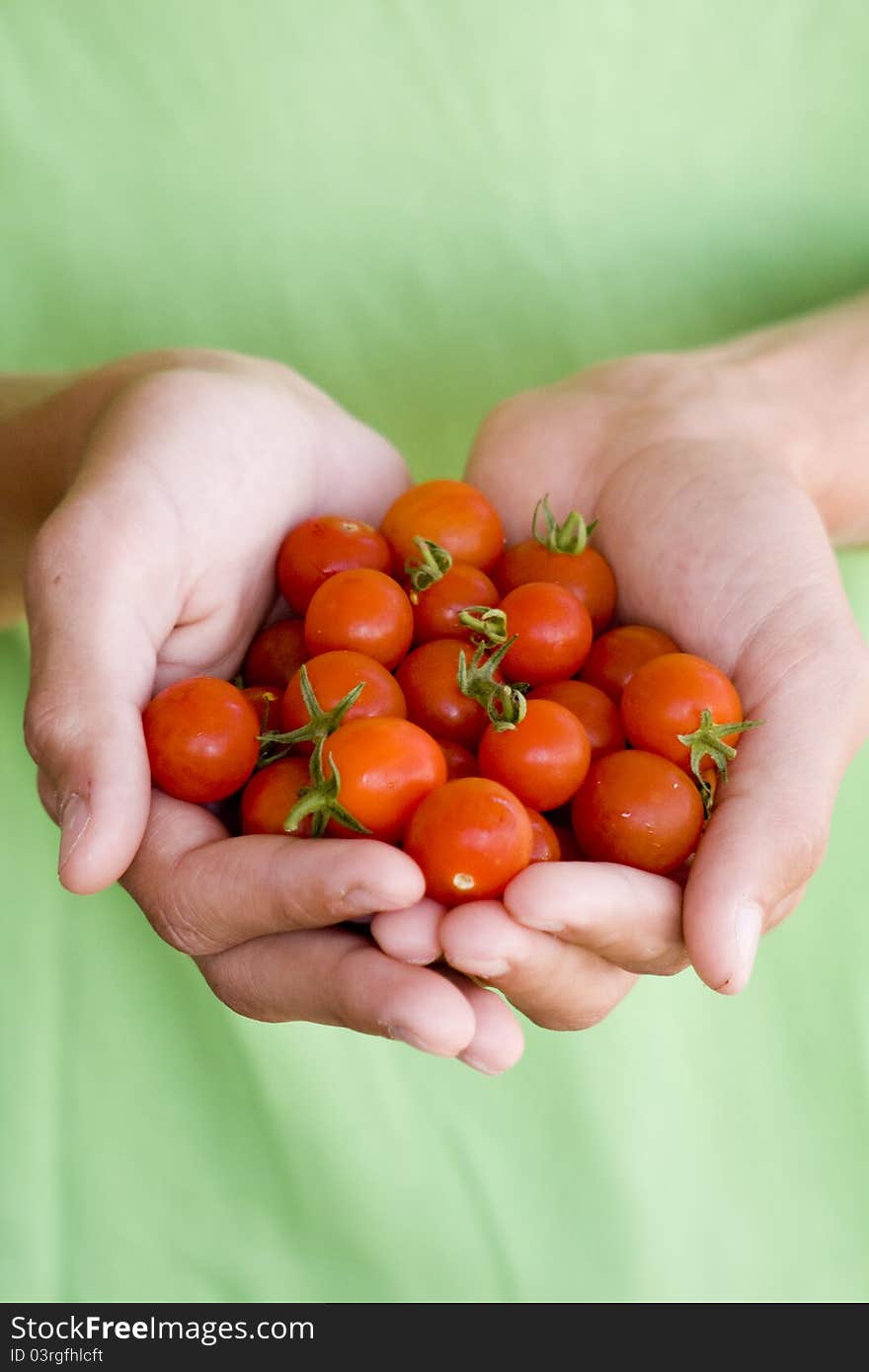 Small cherry tomatoes in a hand, with green surface