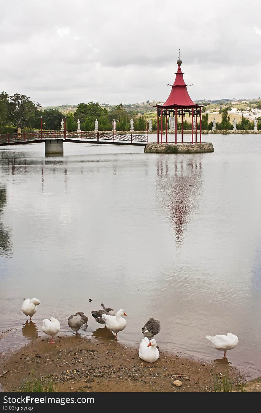 Ducks on the lake of bandstand of meditation