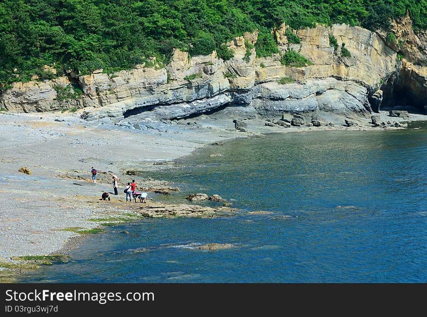 Landscape of sea beach