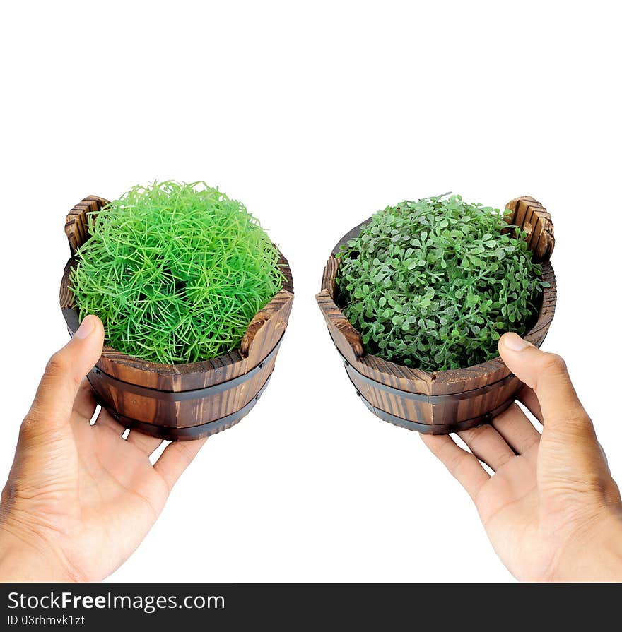 Hand, and potted plants to grass. Hand, and potted plants to grass.