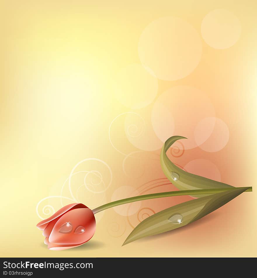 Light pastel background with pink tulip. Light pastel background with pink tulip