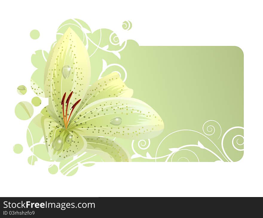 Beautiful light frame with white lily. Beautiful light frame with white lily