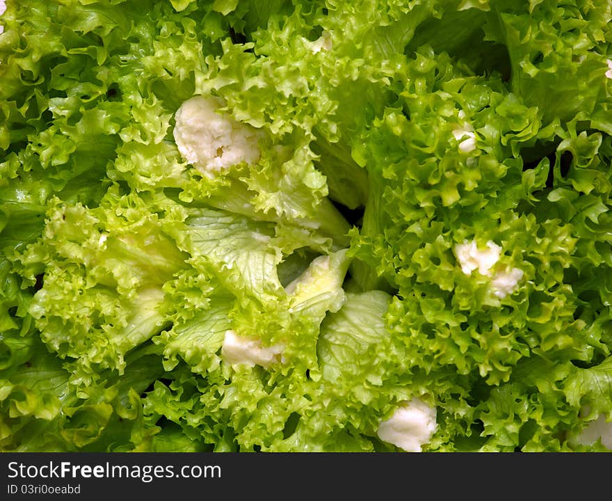 Fresh lettuce background / 1 1