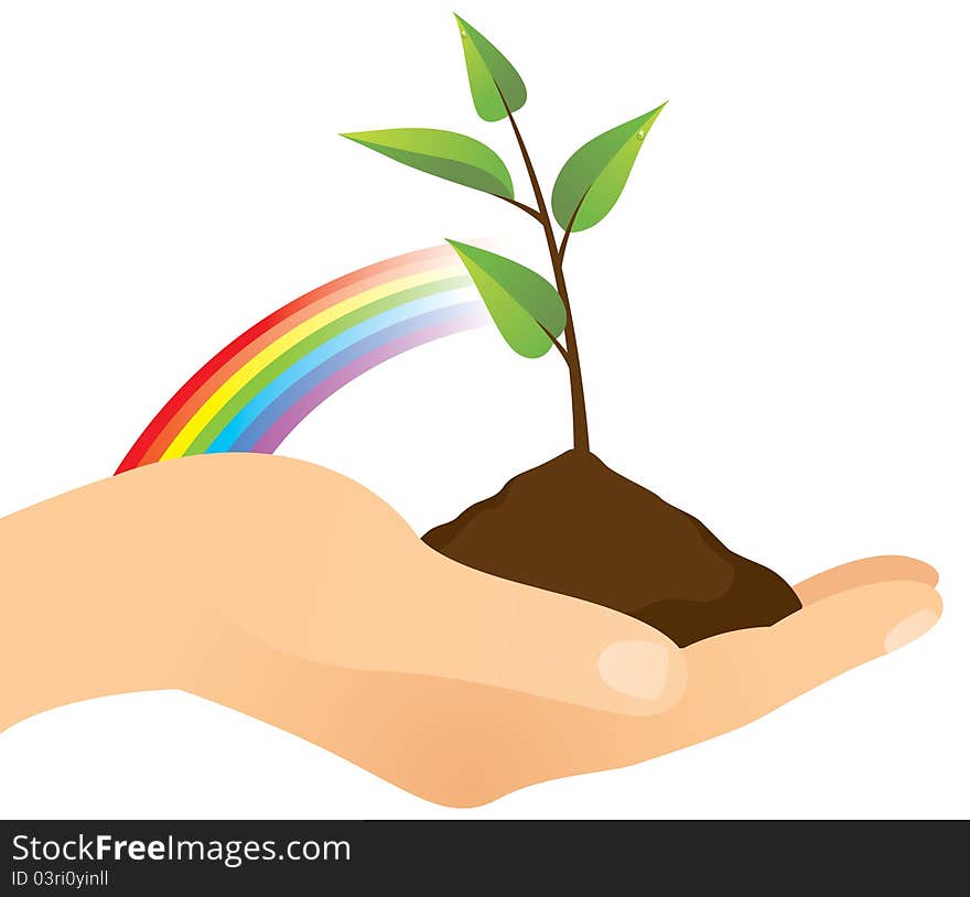 Hand holding a seedling tree. Hand holding a seedling tree.