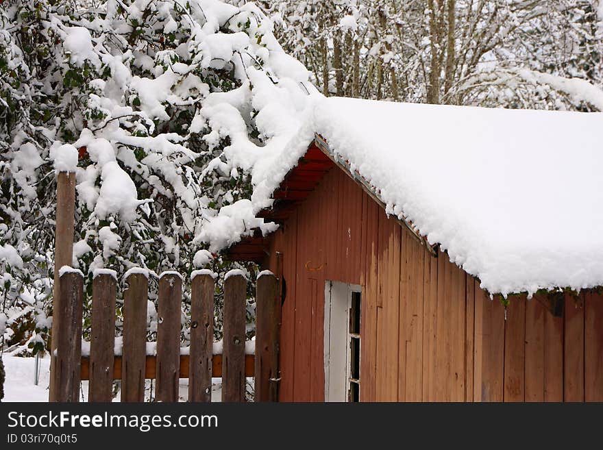 Winter on the farm