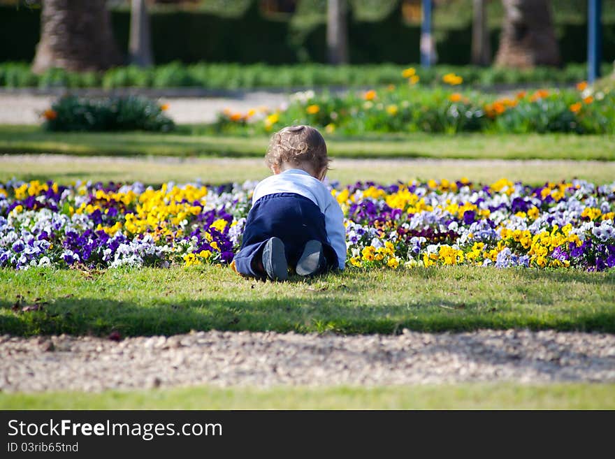 Little boy playing in the park