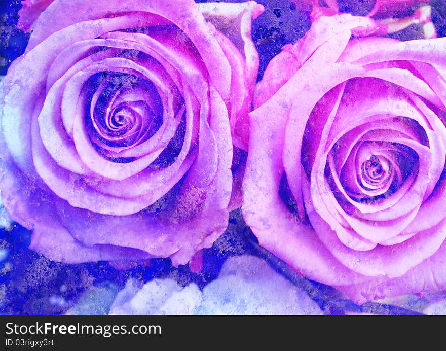 Violet roses - vintage stylized floral picture with patina texture