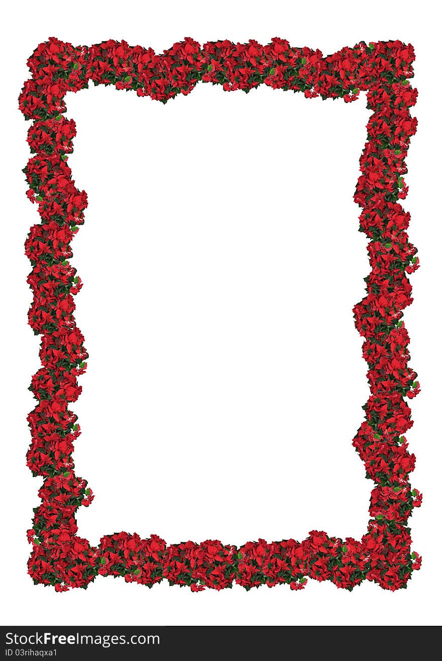 Christmas floral frame