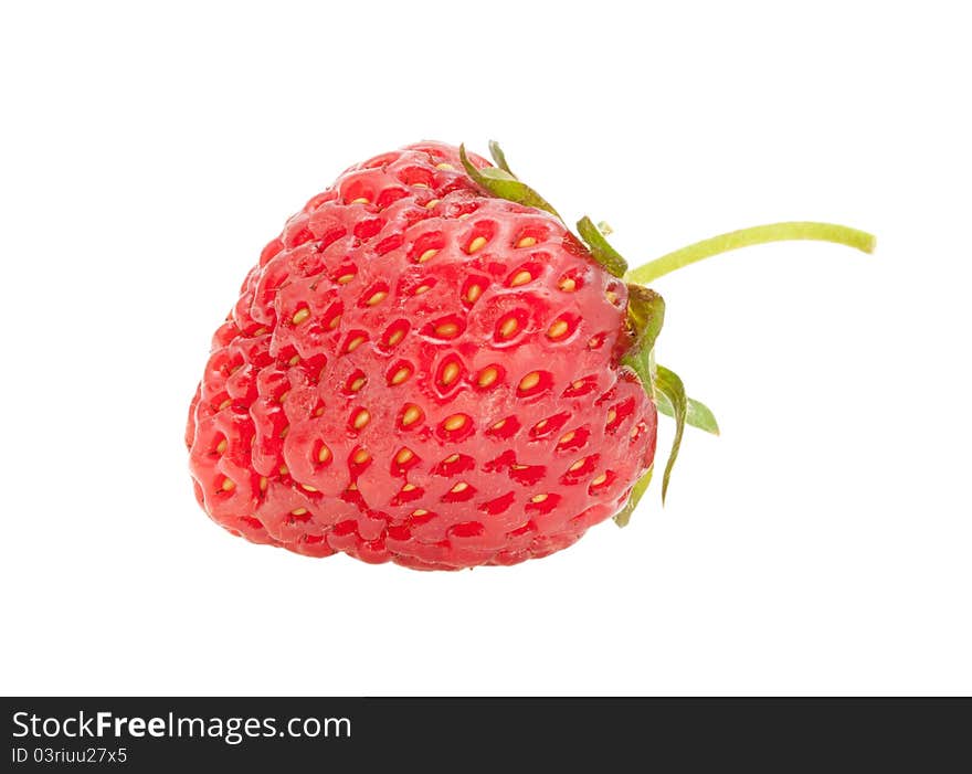 Ripe berry of a strawberry on a white background. Ripe berry of a strawberry on a white background.