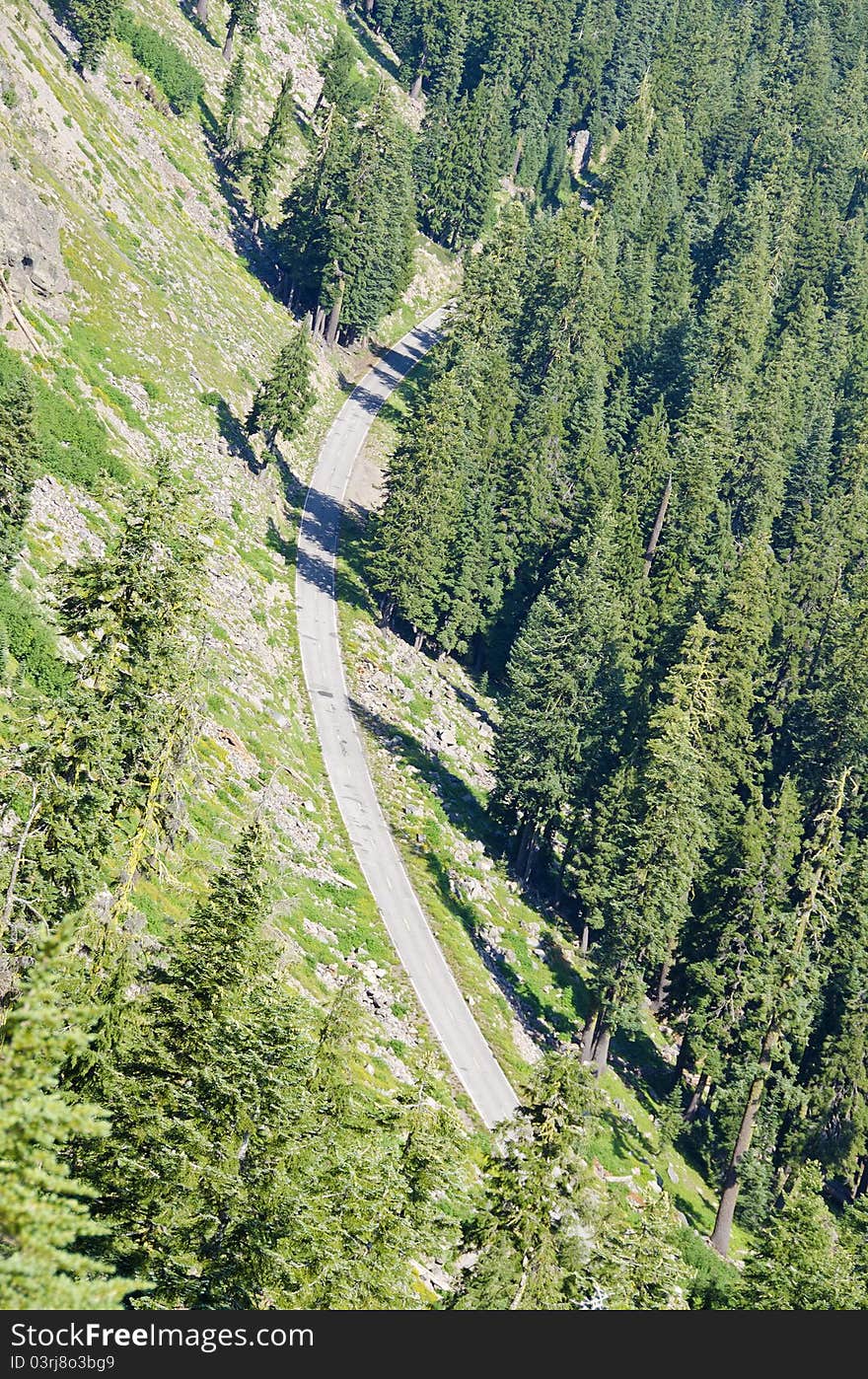 Road Through The Forest