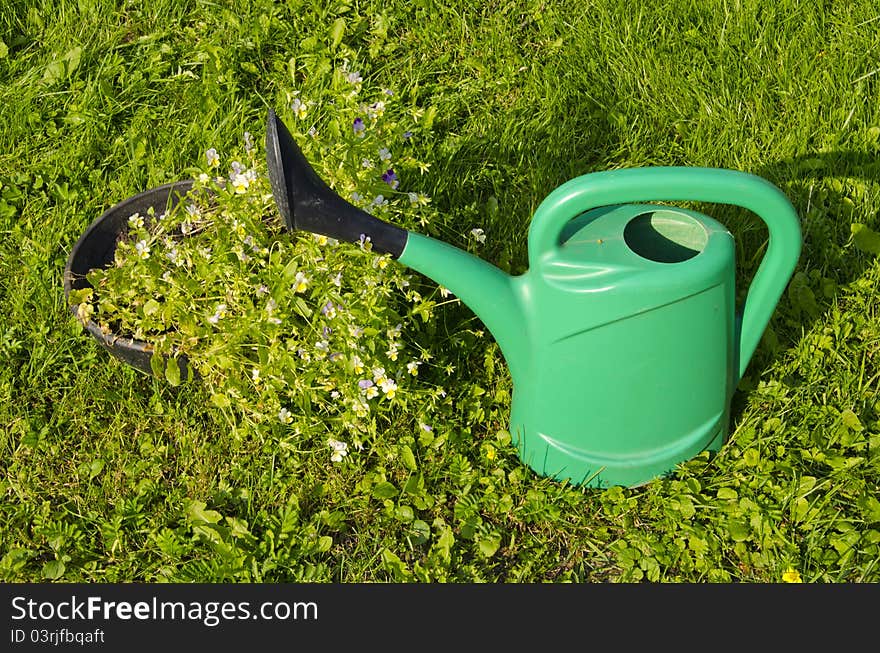 Green watering can near the pot with flowers on a background of meadow. Green watering can near the pot with flowers on a background of meadow.