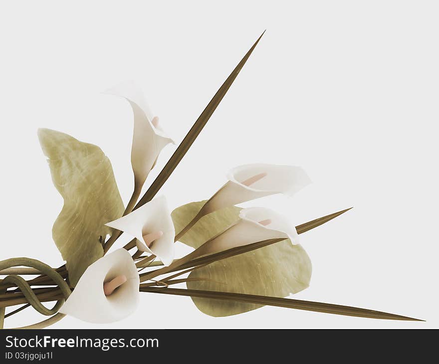 3d Callas Arrangement