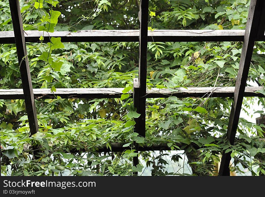 The structure of the old wooden houses remains. The structure of the old wooden houses remains.