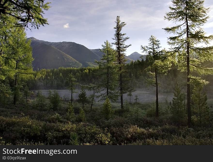 Sunrise on the shore of the forest lake. Sayan Mountains. Siberia.