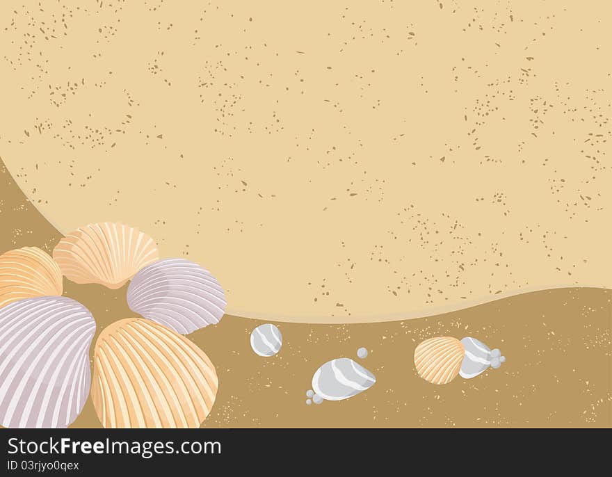 Vector seashells