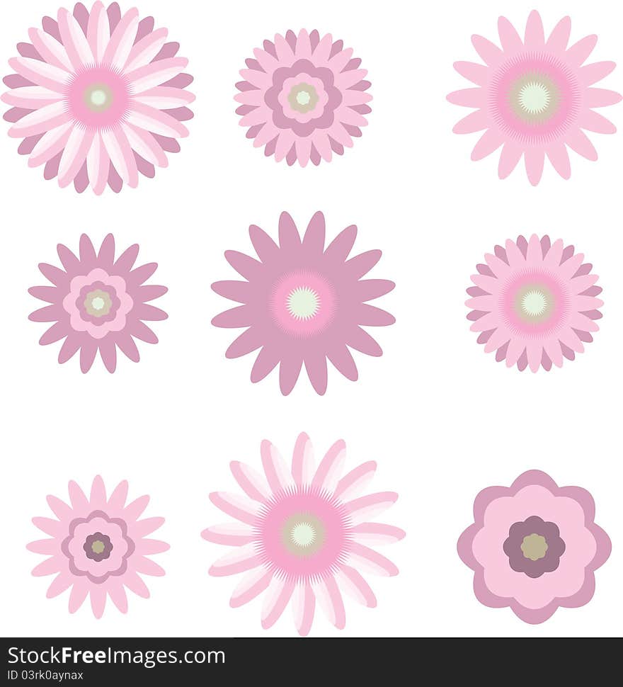 Diffrent flowers in the color of pink. Diffrent flowers in the color of pink