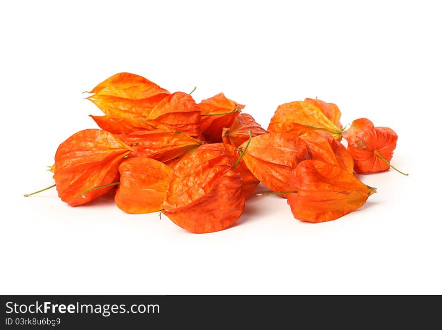 pile of physalis on white background