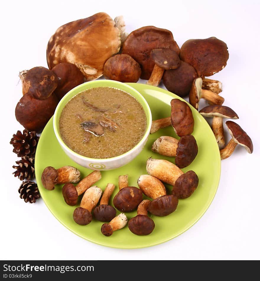 Mushroom soup in a bowl with some mushrooms around it and some pinecones