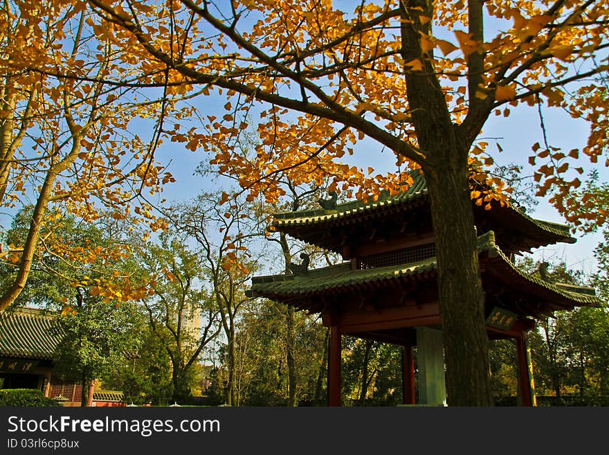 Autumnal Chinese Temple