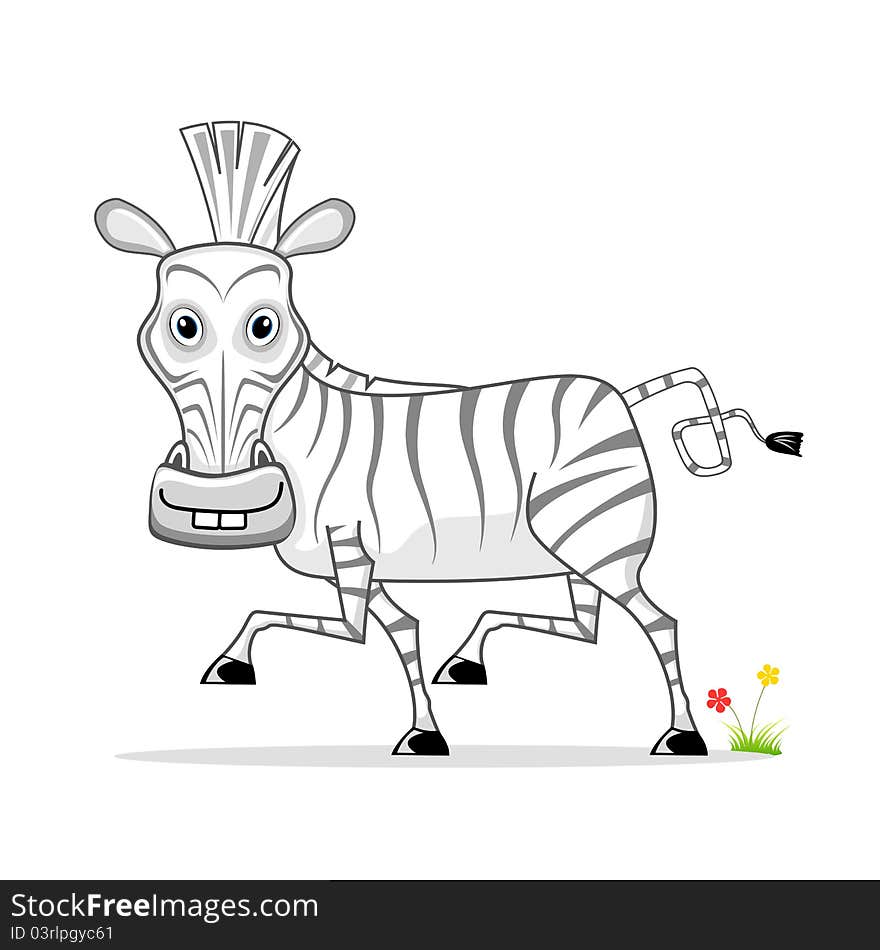 Illustration of cartoon zebra on white background